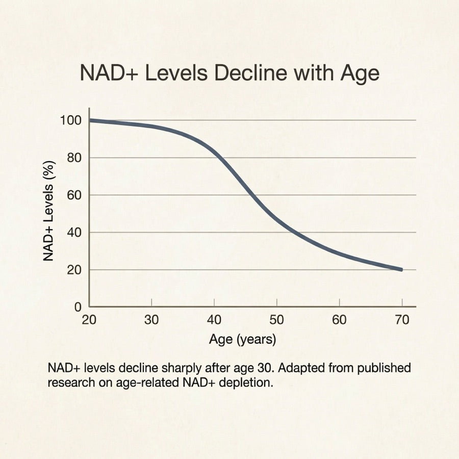 NAD+ levels decline with age — by 40, you've lost up to half your NAD+